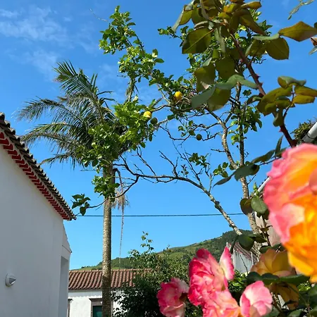 Casa Cidalisa بيت للعطل